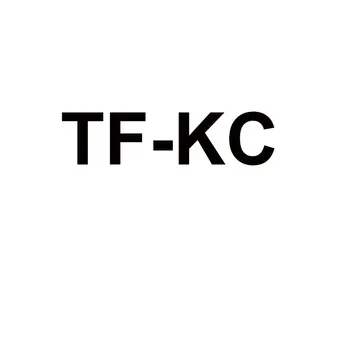 TF-KC 1 S925 søde insekter, 1:1 kan tilpasses, par ferie gaver, der kan tilpasses, 925 sølv