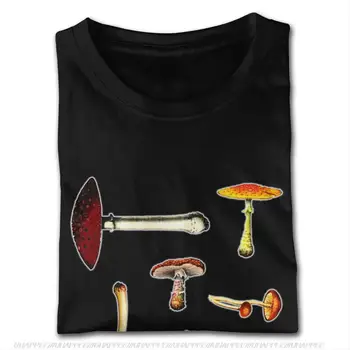 Vintage Grafisk Champignon Medley Tshirt Mænds Skræddersyede Korte Ærmer Rød O-neck T-Shirt